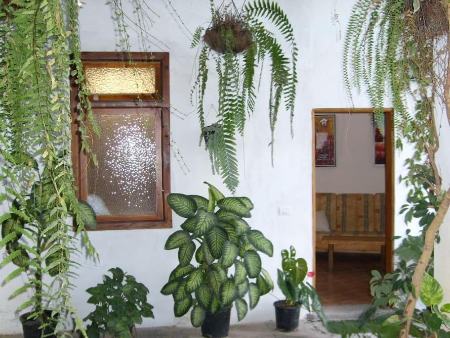 Willa Preciosa Casa Emblematatica, Piscina,Wifi Santa Catalina Zewnętrze zdjęcie